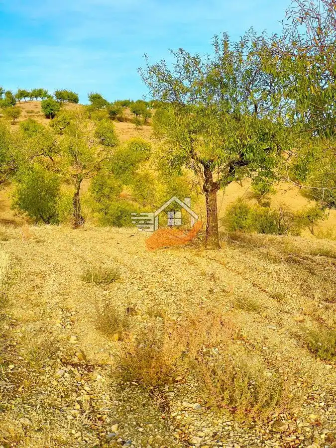 Maison rustique à vendre à Vélez-Rubio, imagen 28
