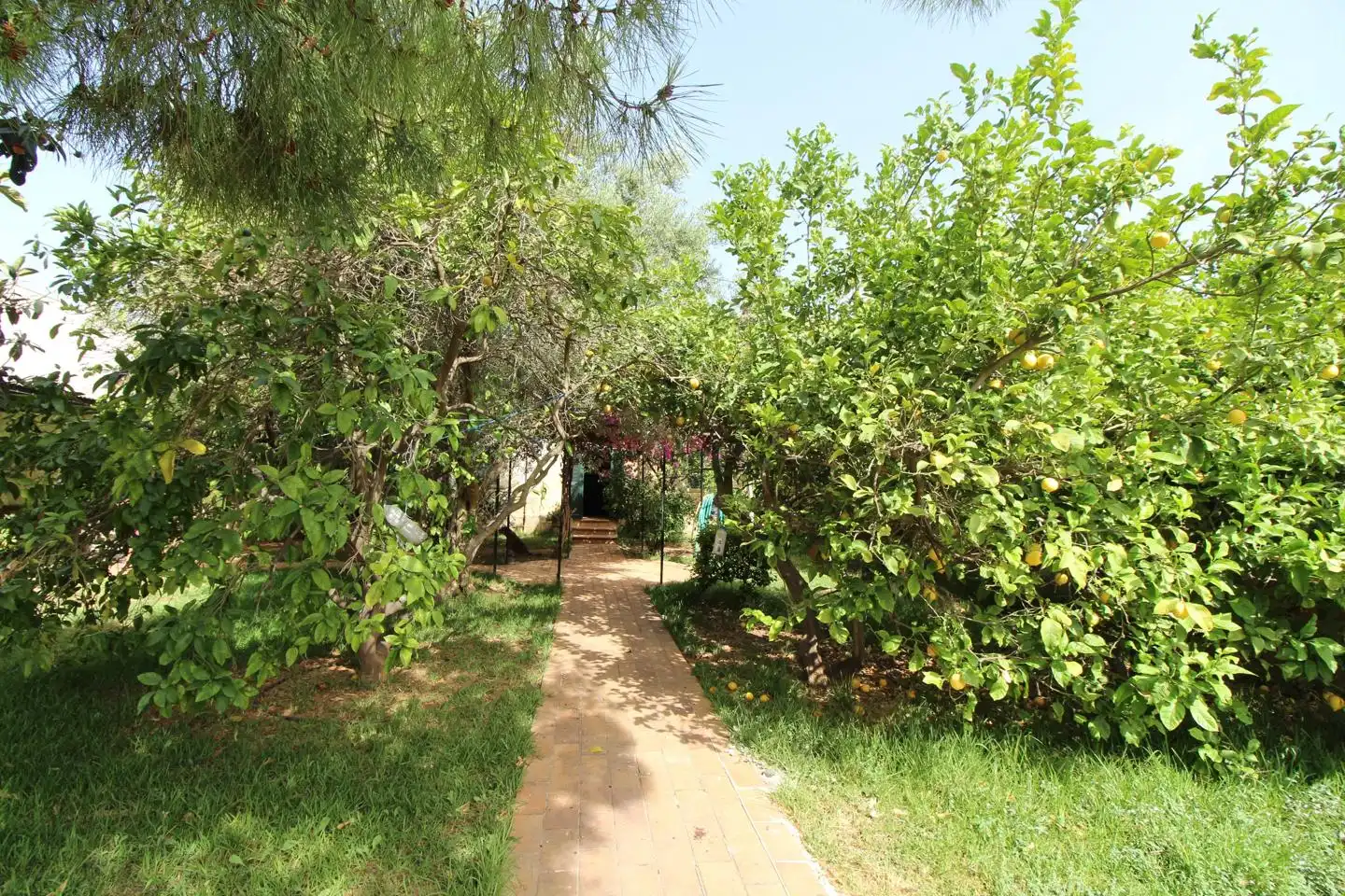 Casa o xalet en venda a De Victòria Ramis D'Ayreflor, Son Flor - Son Moix