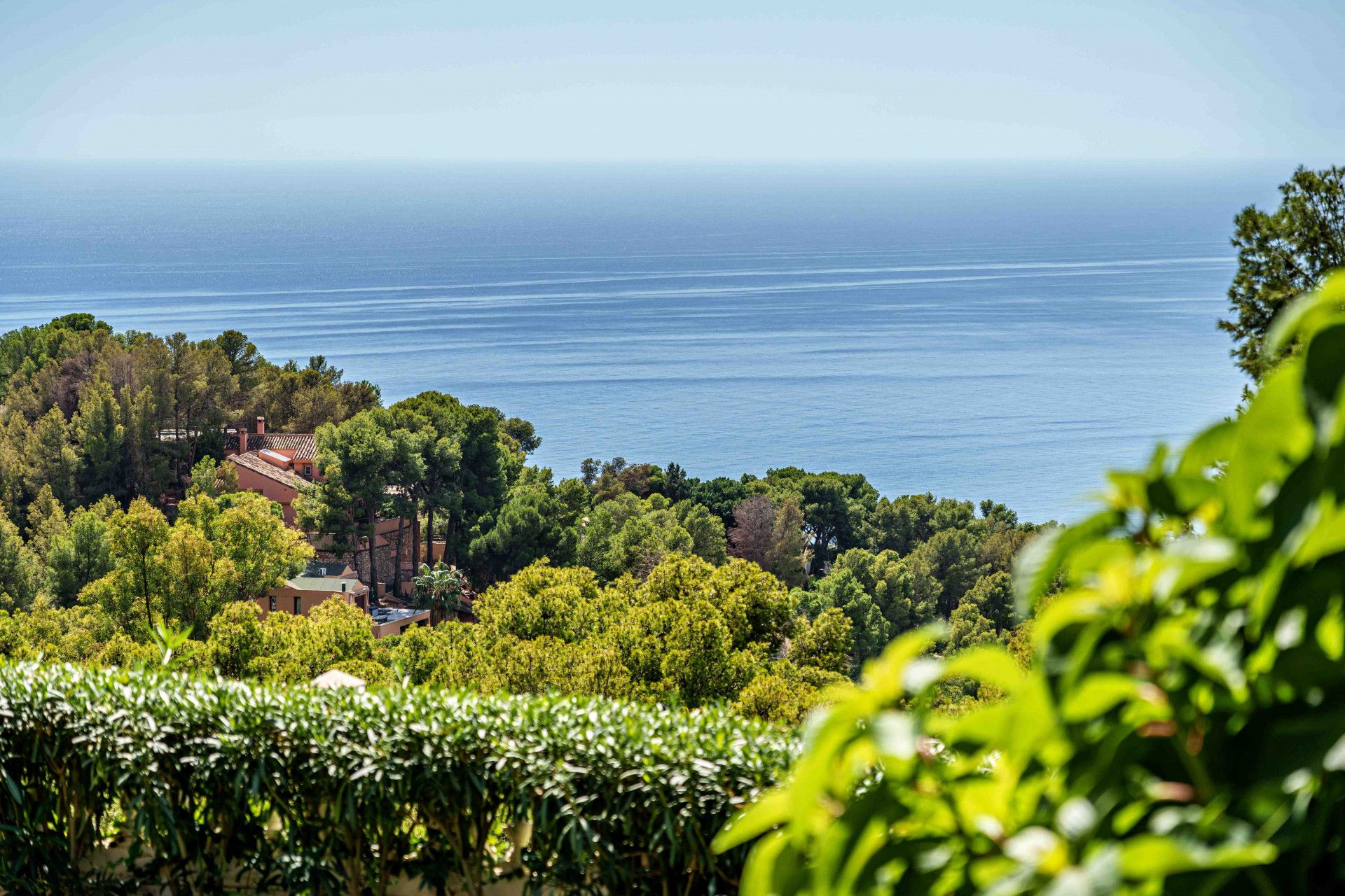 Jardí de Casa o xalet en venda en Málaga Capital amb Jardí privat, Piscina i Alarma