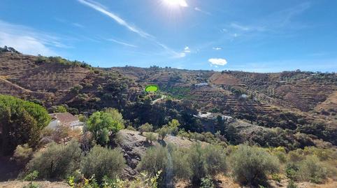 Photo 4 of Country house for sale in Canillas de Albaida, Málaga