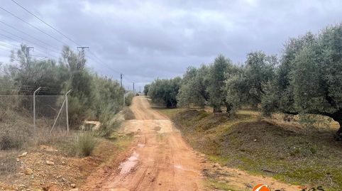 Terreno en Alameda, Málaga