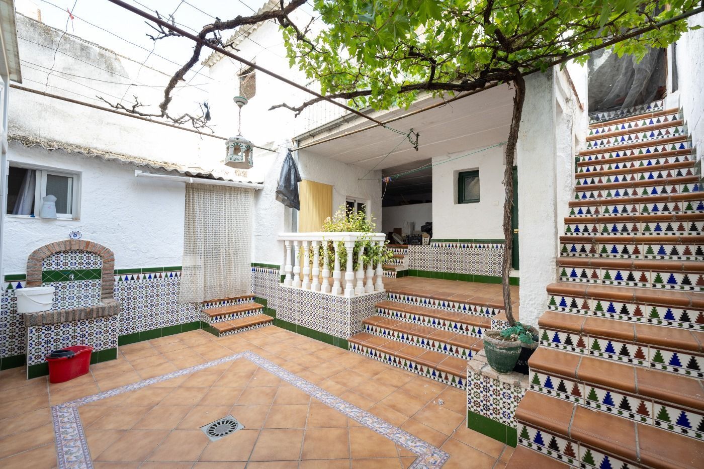 Garden of House or chalet for sale in Íllora