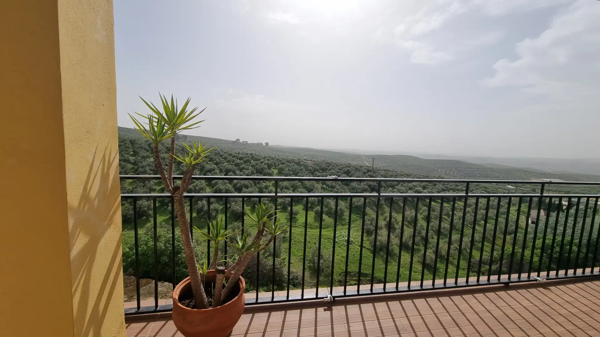 Terrace of Houses for sale in Rute  with Air Conditioner, Terrace and Furnished