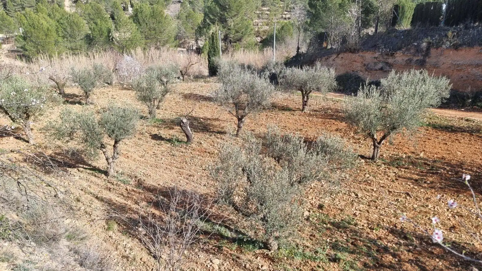 Terrenys i solars en venda a Pasaje diseminado fuente mula, imagen 11