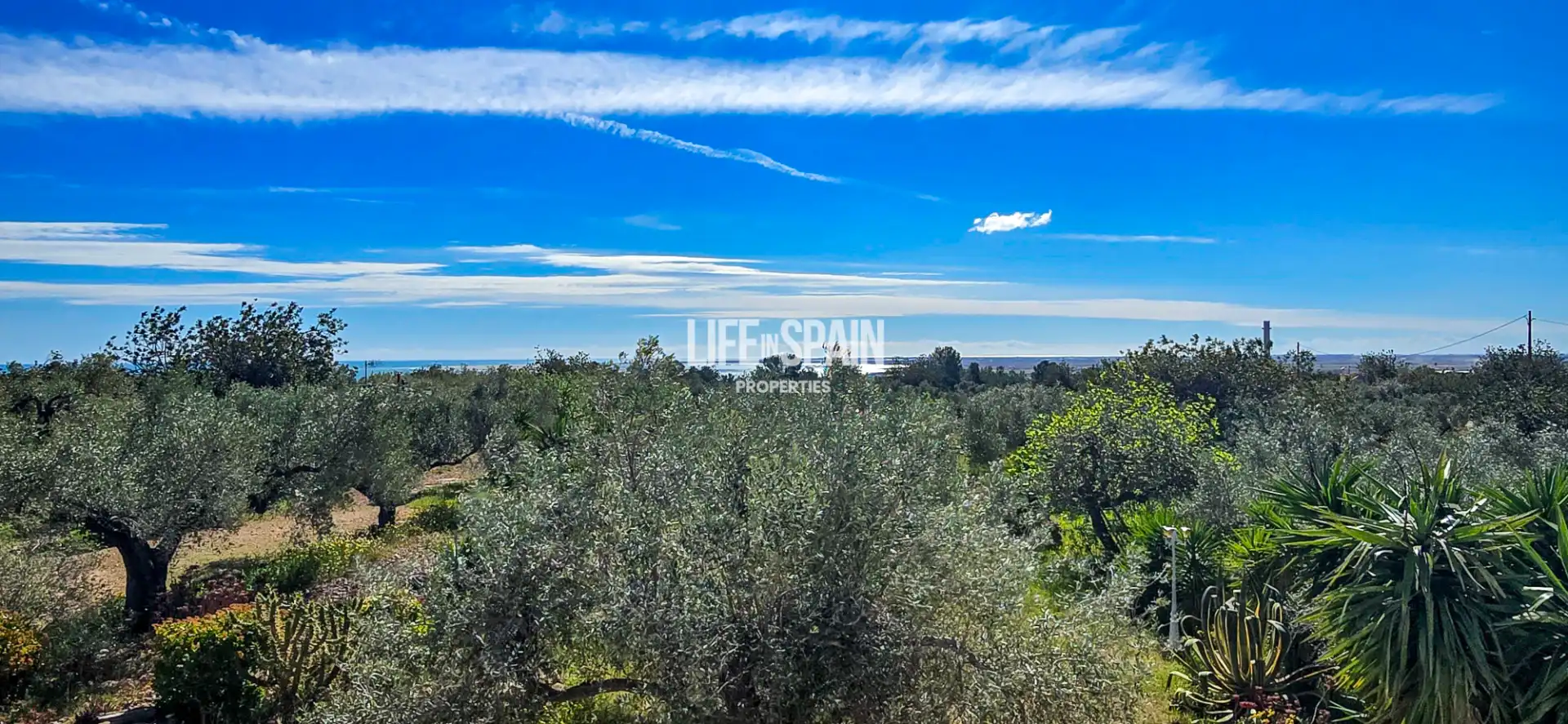 Country house with pool for sale in Camarles, imagen 119