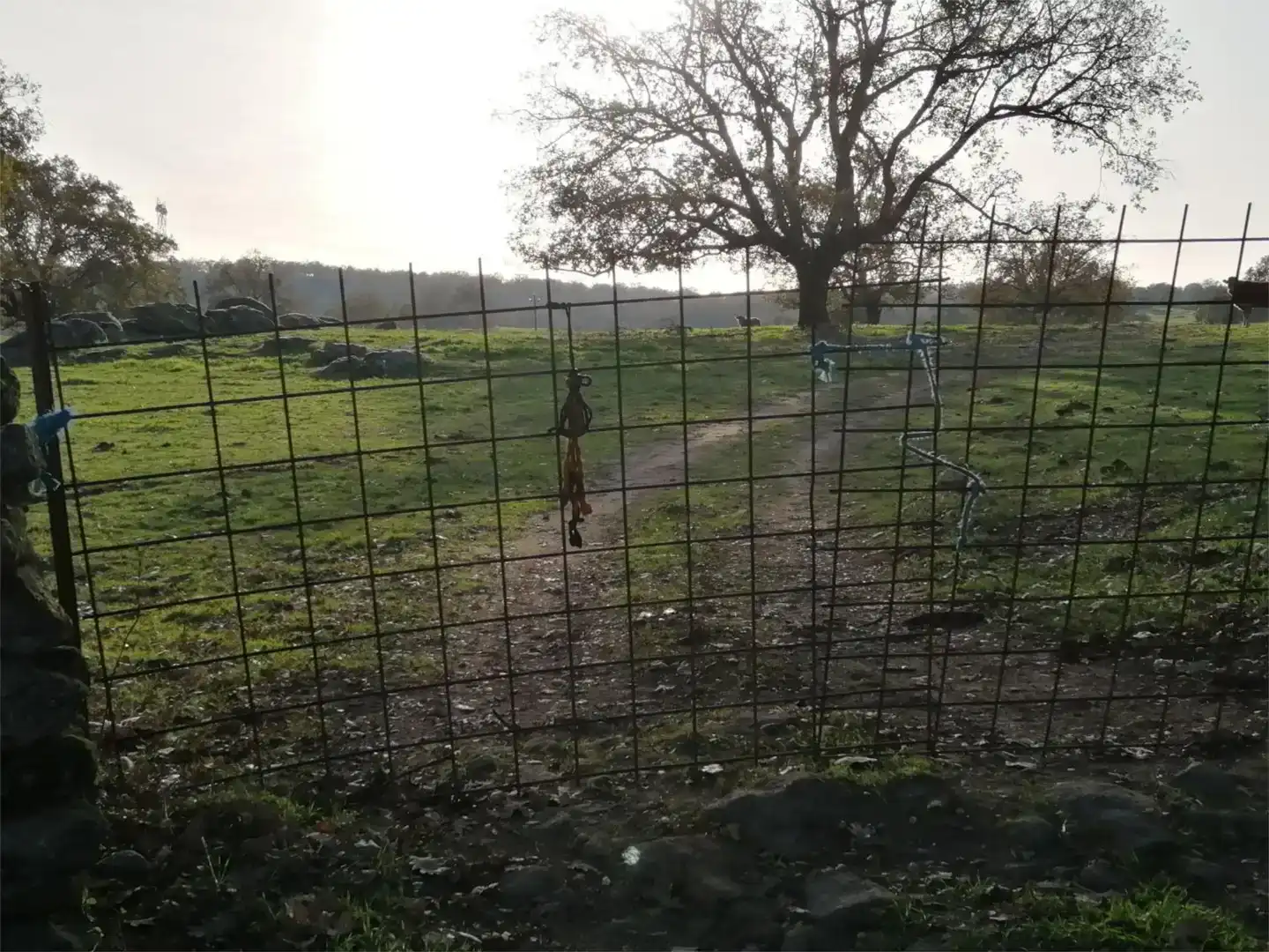 Terreno en venta en Gargüera, Cáceres