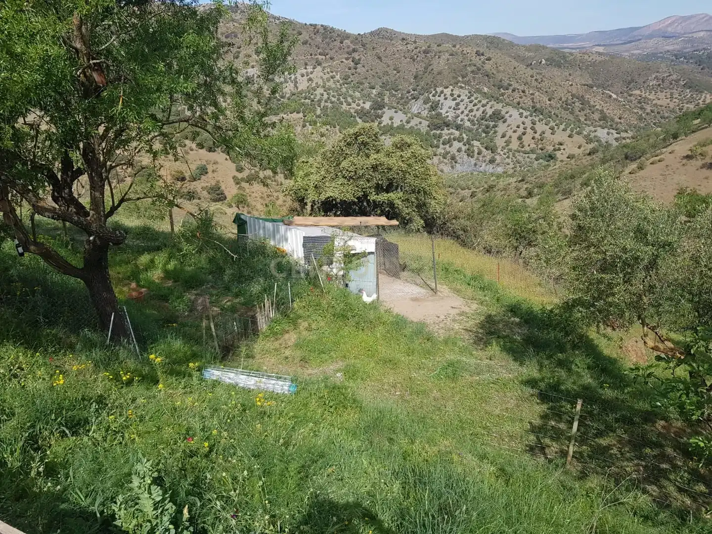 Terreni e lotti in vendita a Ardales, imagen 13