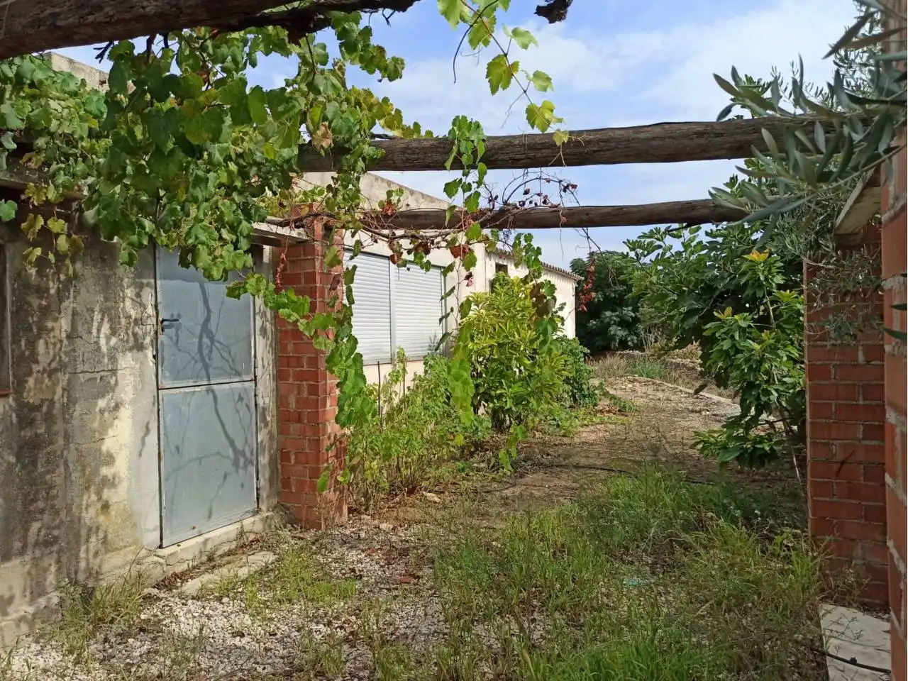 Terreno rustico in vendita a Cervera del Maestre, imagen 12