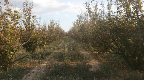 Foto 3 de Terreny en venda a El Rourell, Tarragona