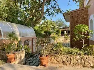 Chalet con jardín en venta en Carrer d'Azorin 3, imagen 22