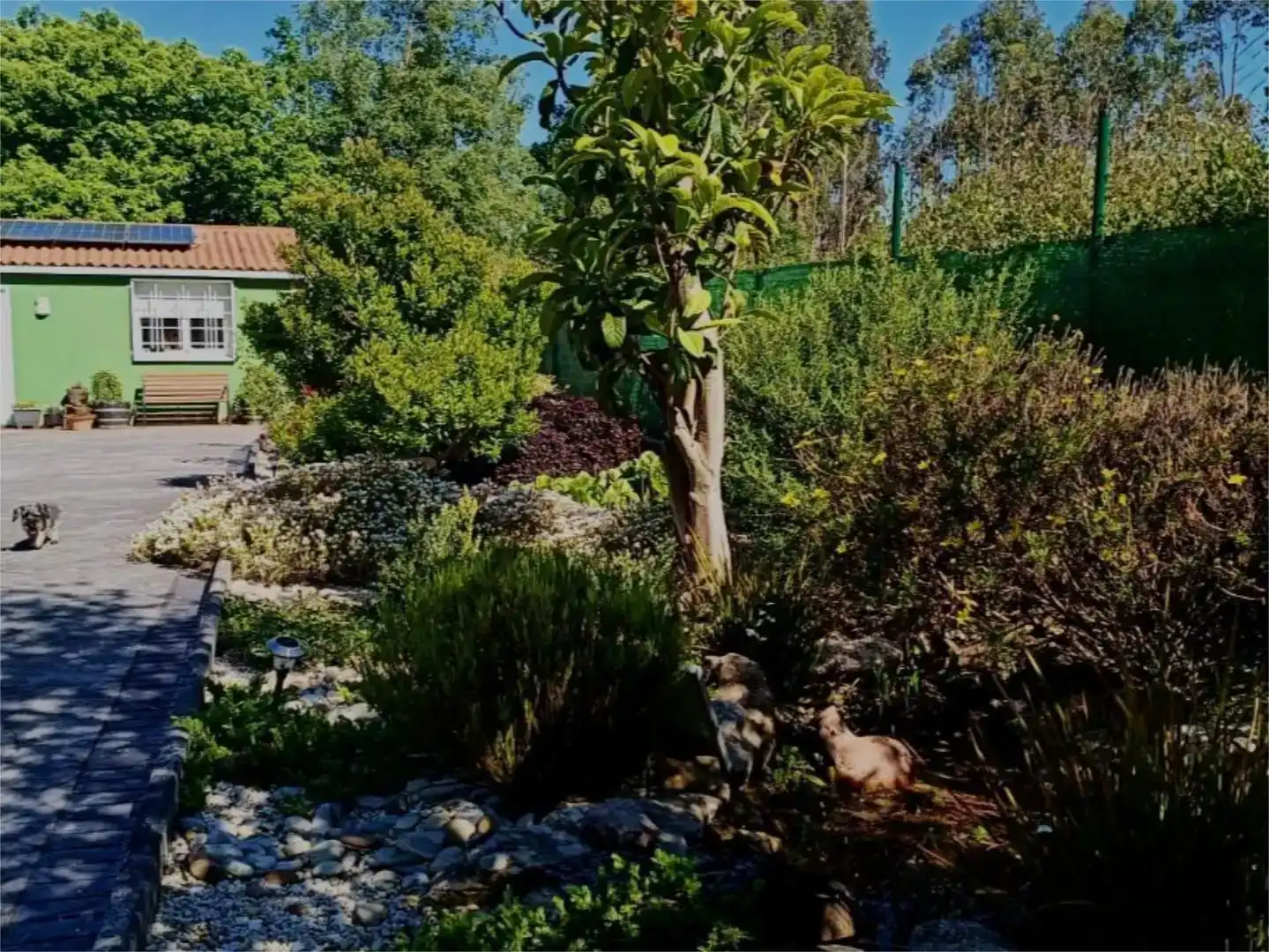 Jardí de Finca rústica en venda en San Sadurniño amb Jardí privat