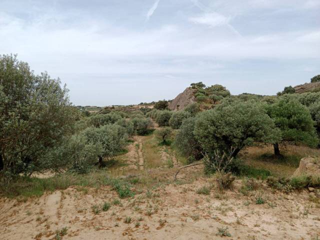 Terreno en Venta en Tamarite de Litera