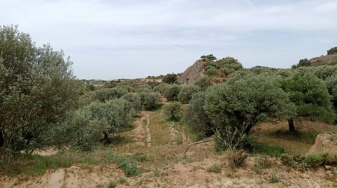 FINCA EN VENTA EN TAMARITE DE LITERA