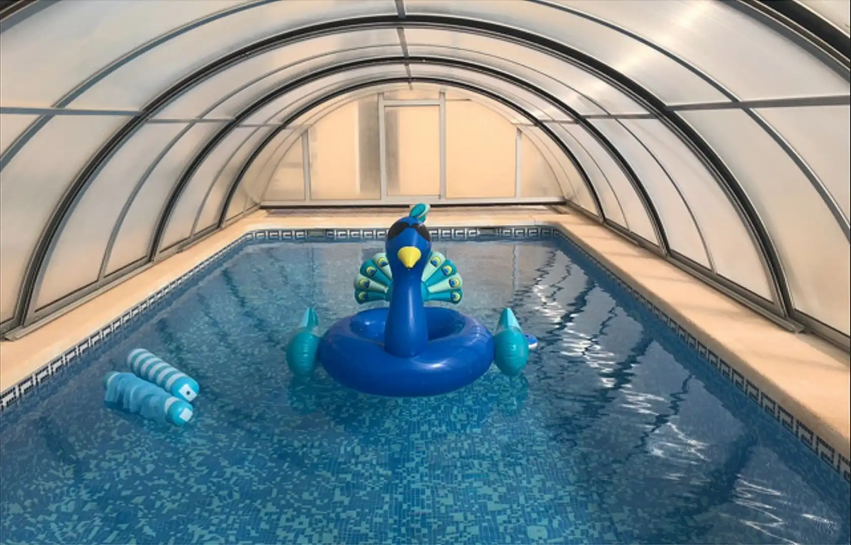 Swimming pool of Commercial properties for sale in Alicante / Alacant  with Air Conditioner and Furnished