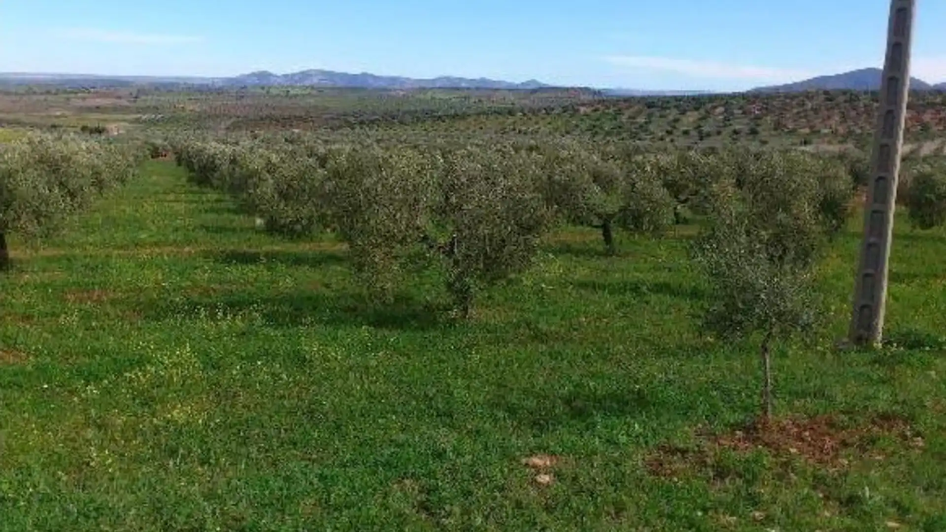 Terreno en venta en Génave