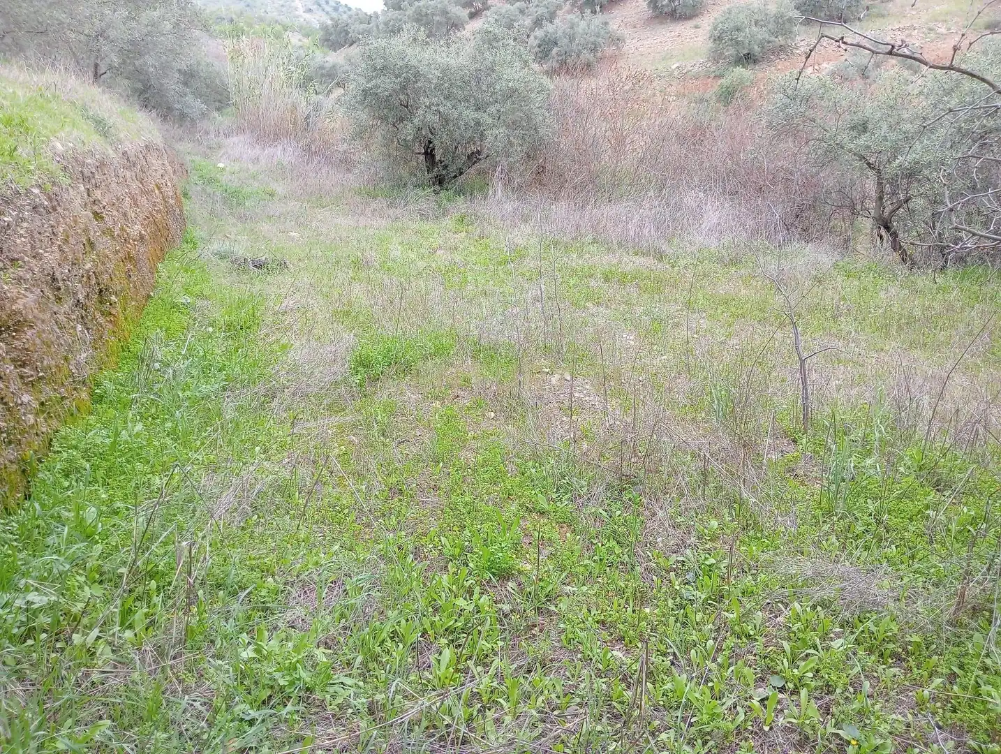 Casa o xalet en venda en Cártama amb Jardí privat, Traster i Piscina