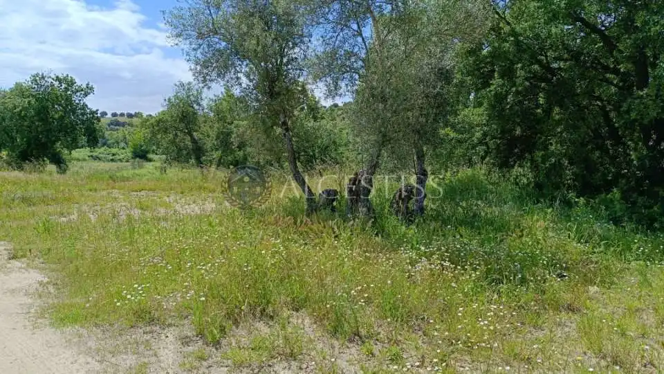 Land for sale in Méntrida