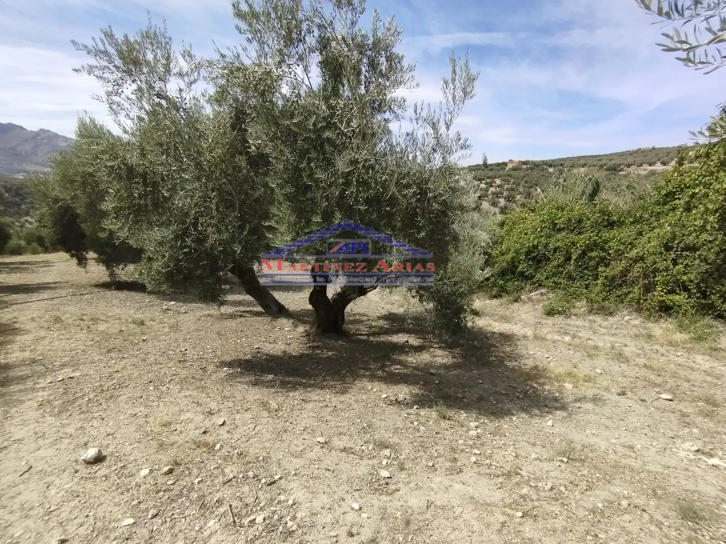 Terreni e lotti in vendita a Quesada, imagen 9