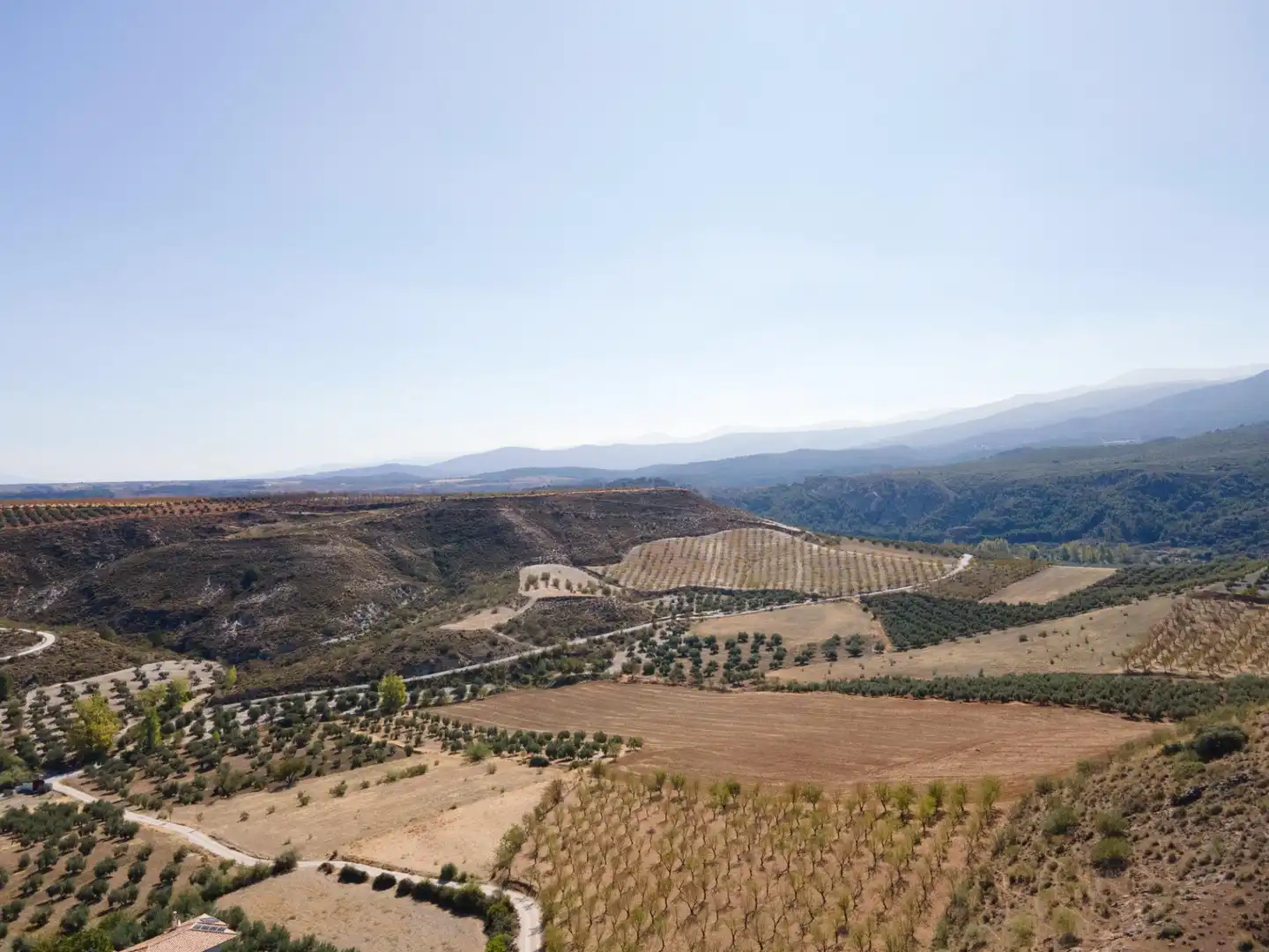 Finca rústica en venta en Vereda morollon, La Peza
