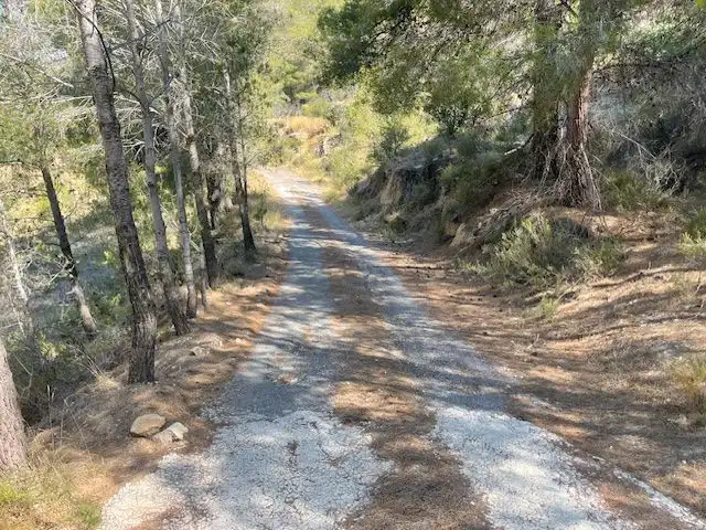 Terrenys i solars en venda a Callosa d'en Sarrià, imagen 6
