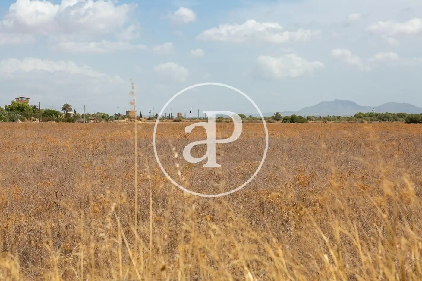 Residencial en venta en Son Lladó Polígon 19 polígonoo 19 parcela 721, Zona Rústica - Interior