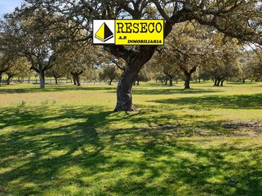 Terreno rustico in vendita a Villanueva de la Serena