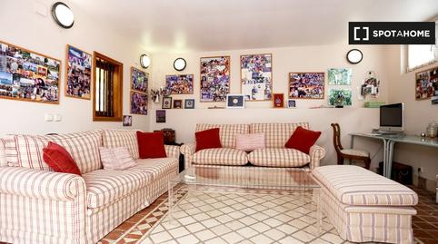 Photo 4 of Flat to share in Vegueta, Las Palmas