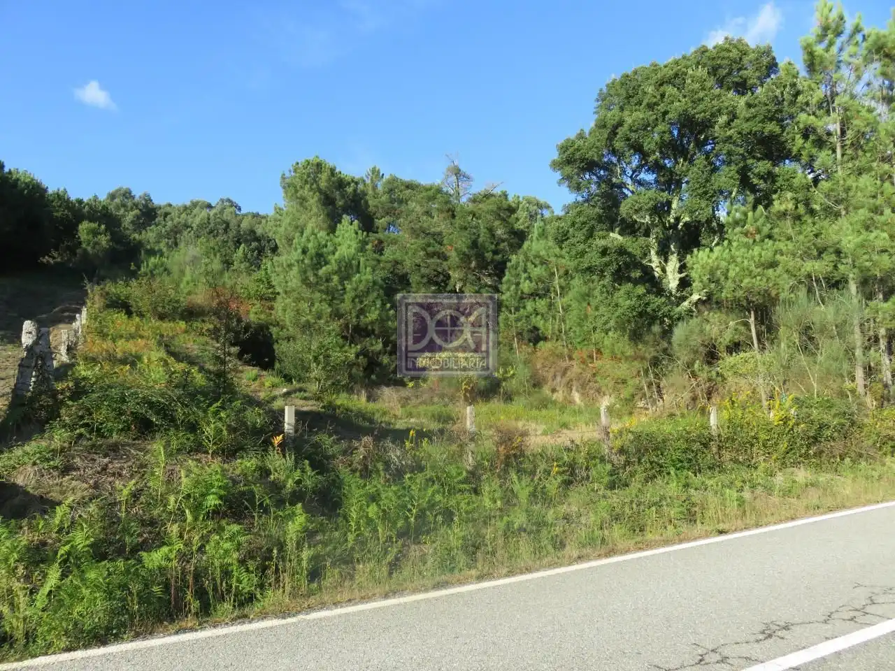 Lands and plots for sale in Mondariz, imagen 2