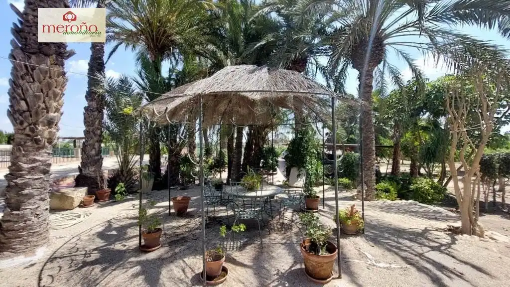 Jardí de Casa o xalet en venda en Elche / Elx amb Aire condicionat, Jardí privat i Terrassa