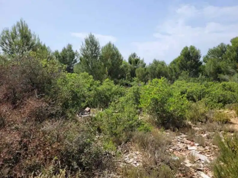 Rural land for sale in Partida de Viñamalata, imagen 8