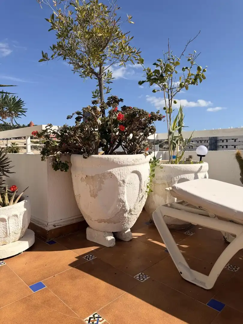 Terrace of Flat for sale in Adeje  with Air Conditioner, Terrace and Furnished
