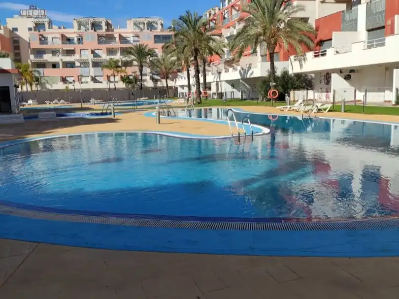Piso con piscina en alquiler en Calle los Pinos 61, imagen 3