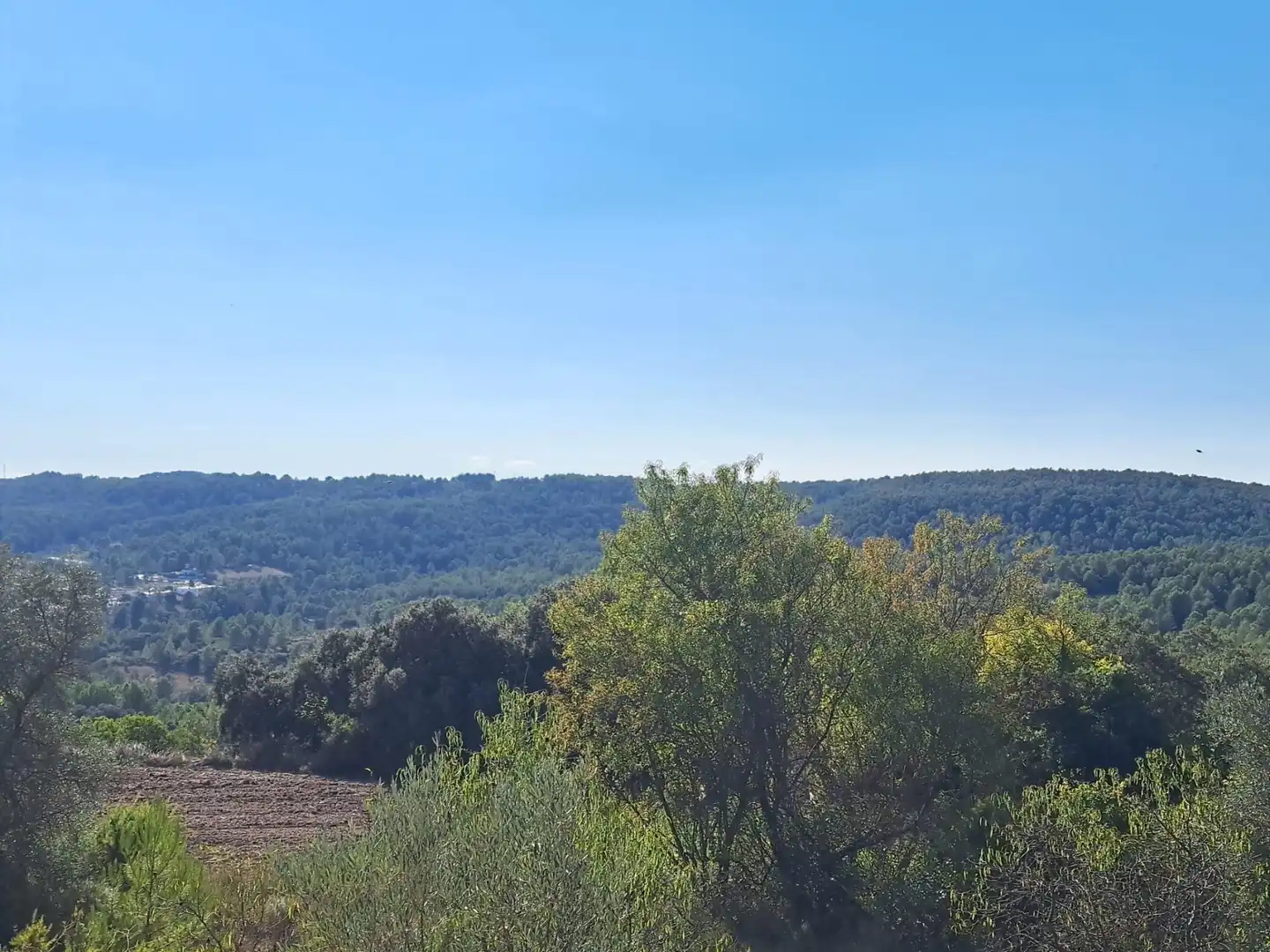 Casa o chalet en venta en Aldea Viñuelas, Cortes de Pallás