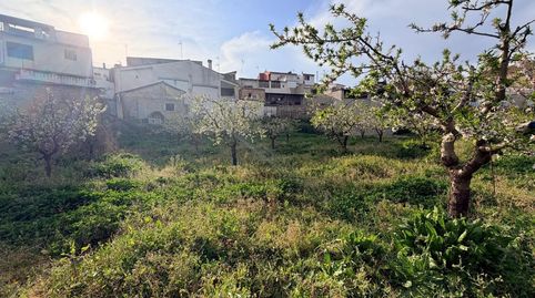 Venta parcela rusticaurbana en Albaidavalencia, imagen 3