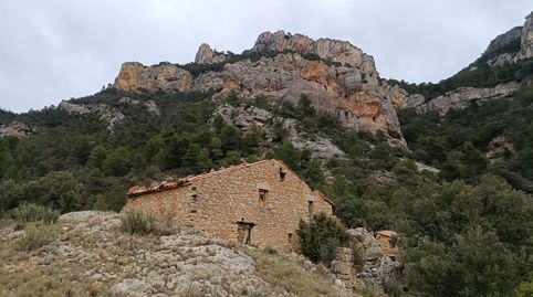 Finca rústica con masía en Peñarroya de Tastavins