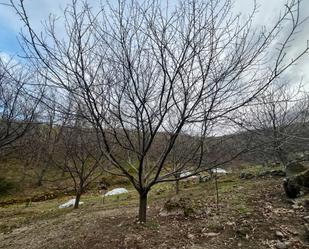 Land for sale in Garganta la Olla