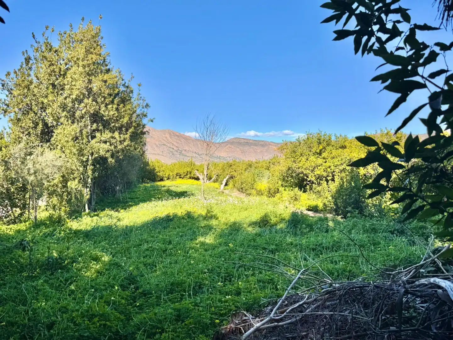 Country house zum Verkauf in Orihuela mit Heizung, Privatgarten und Abstellraum