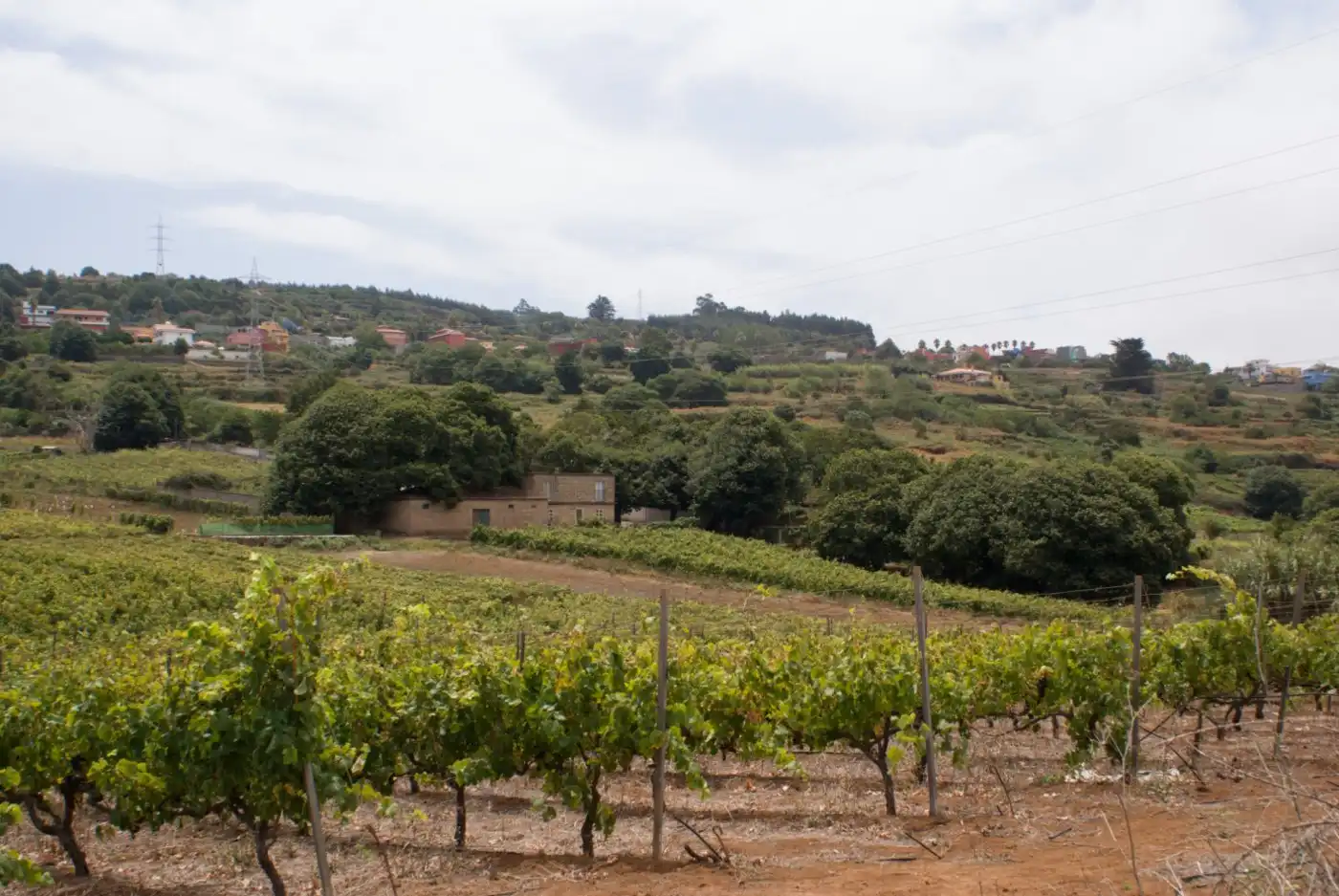 Vista exterior de Terreny en venda en El Sauzal