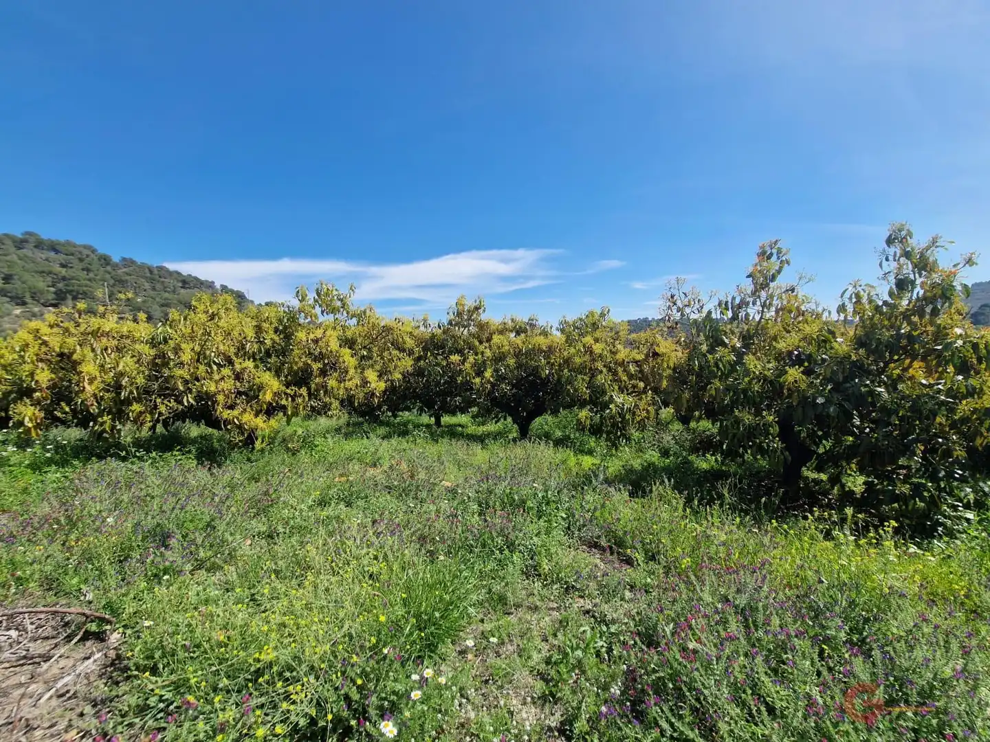 Finca rústica en venda a Lobres