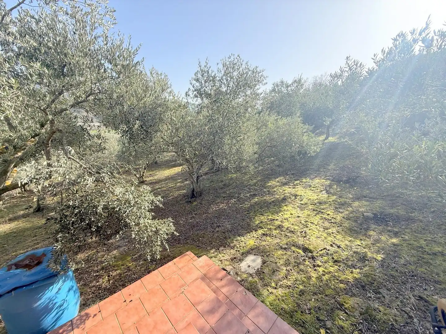 Terreno en venta en Cirauqui / Zirauki