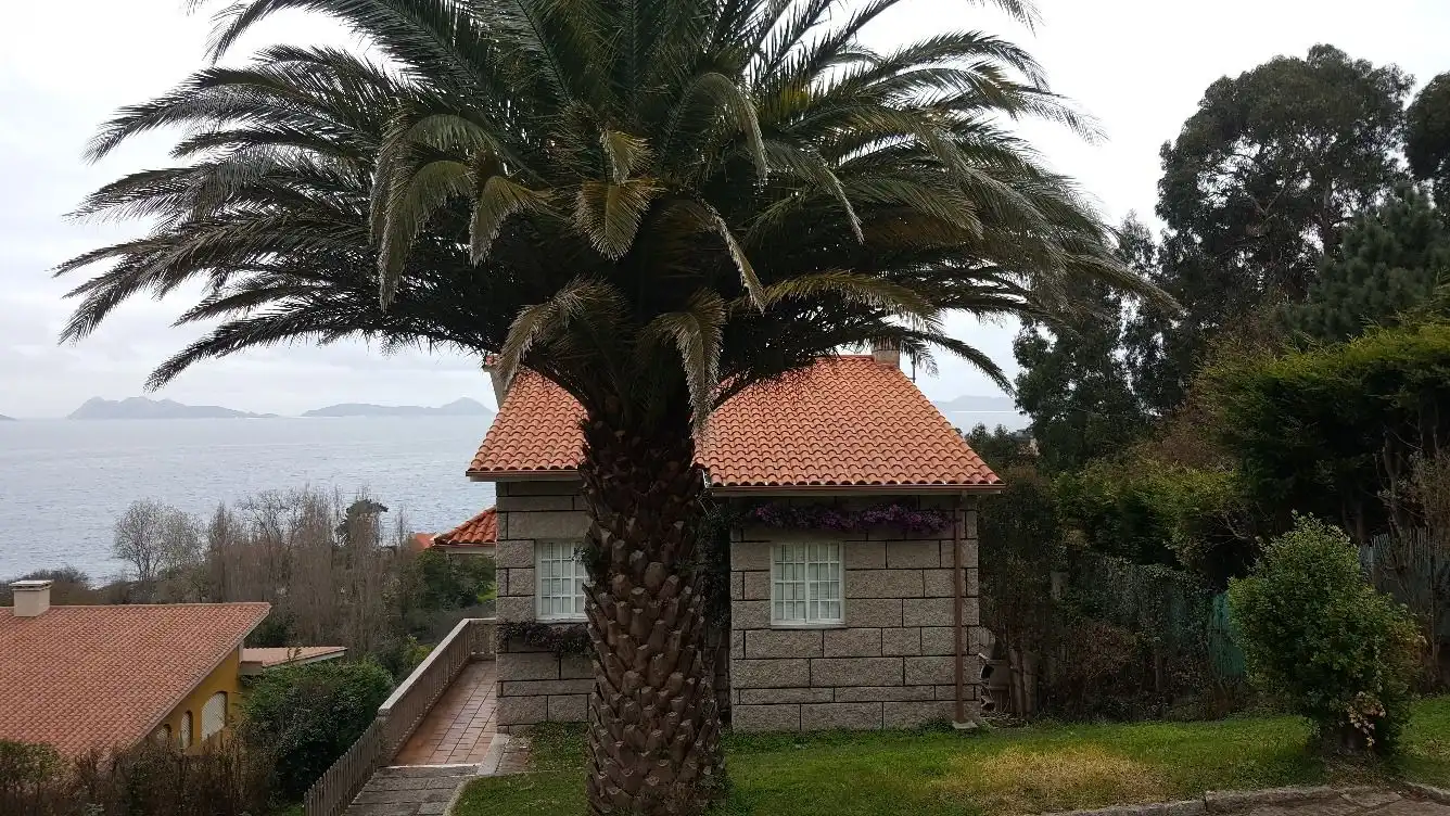 Jardín de Casa o chalet en venta en Vigo  con Jardín privado, Parquet y Terraza