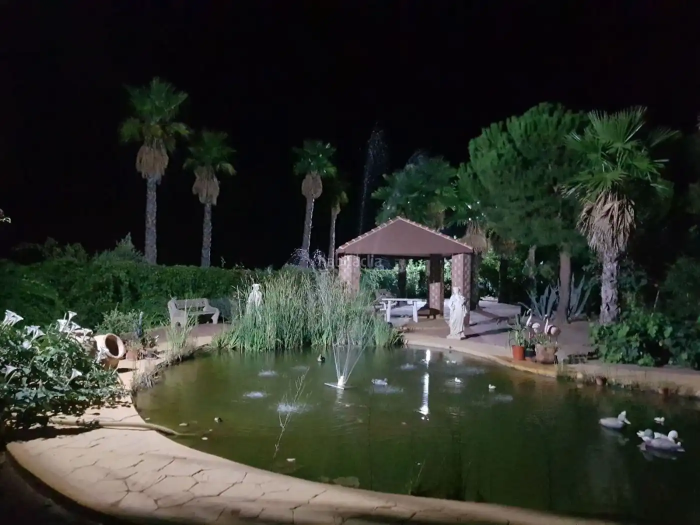 Terreno rustico in vendita a Calle María del Rosario 7, imagen 14