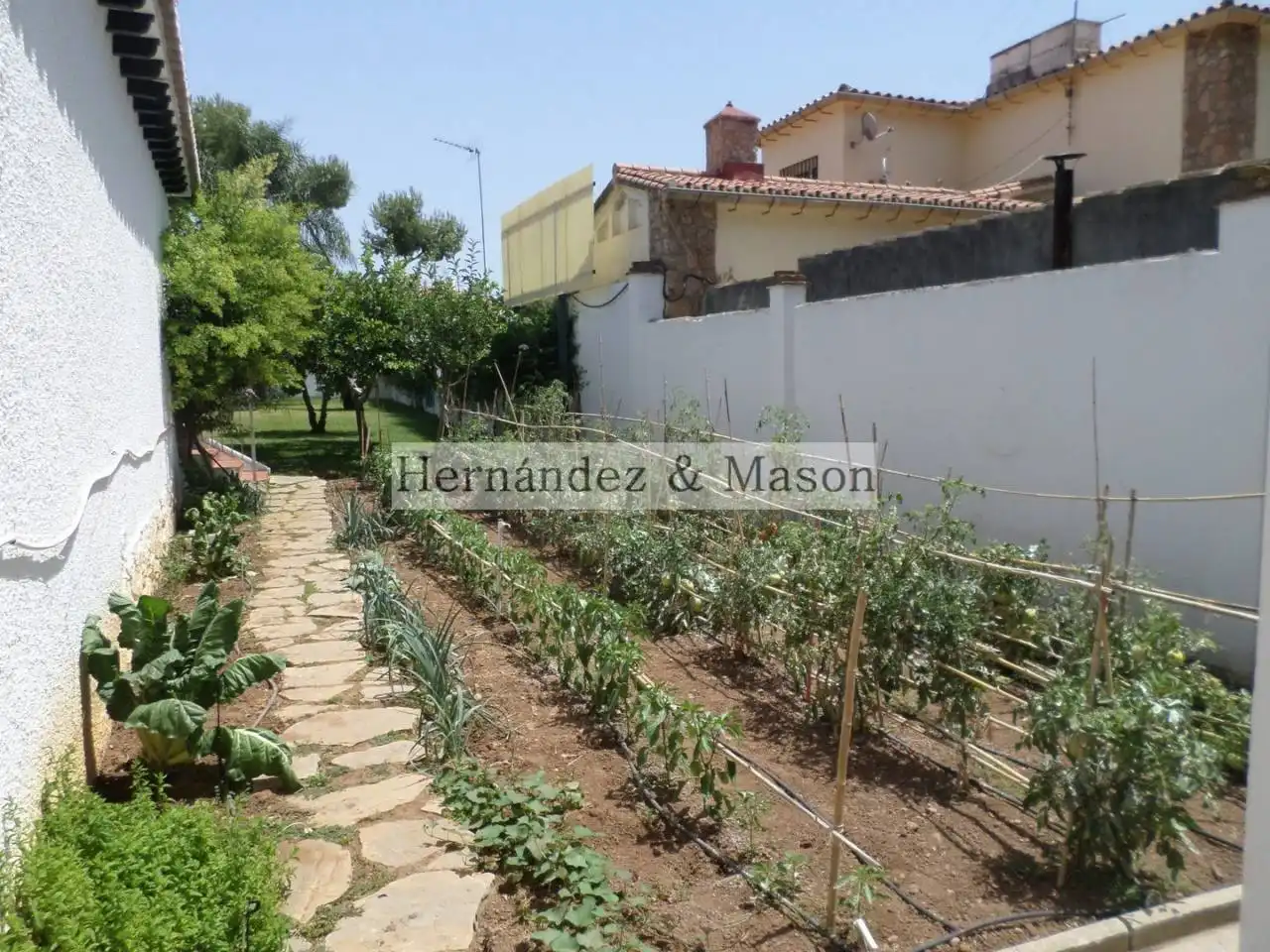 Chalet en venta en Puerto Marina, imagen 13