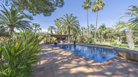 Foto 3 de Finca rústica en venta en Corral Nou - Montros - Estepar, Náquera