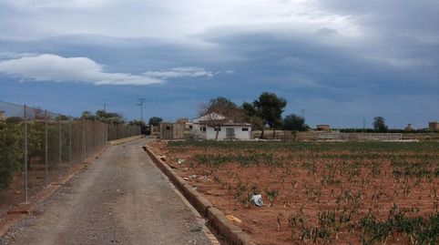 Venta finca rústica de uso agrario en la huerta de MoncadaValencia,22.230m2, vivienda, picadero, y 6 boxes para caballos. Precio 2, Bild 4