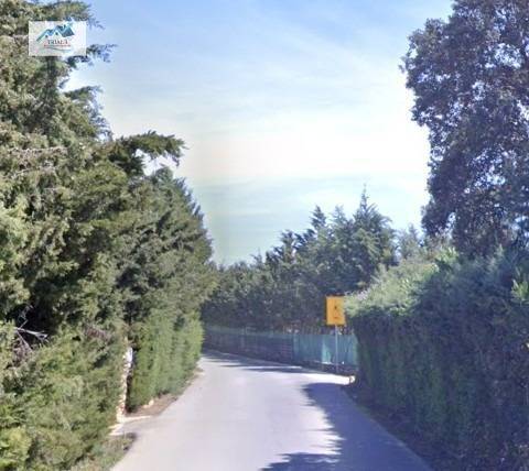 Casa-chalet en Venta en Avenida FUENTE TAJUÑA en Loranca de Tajuña