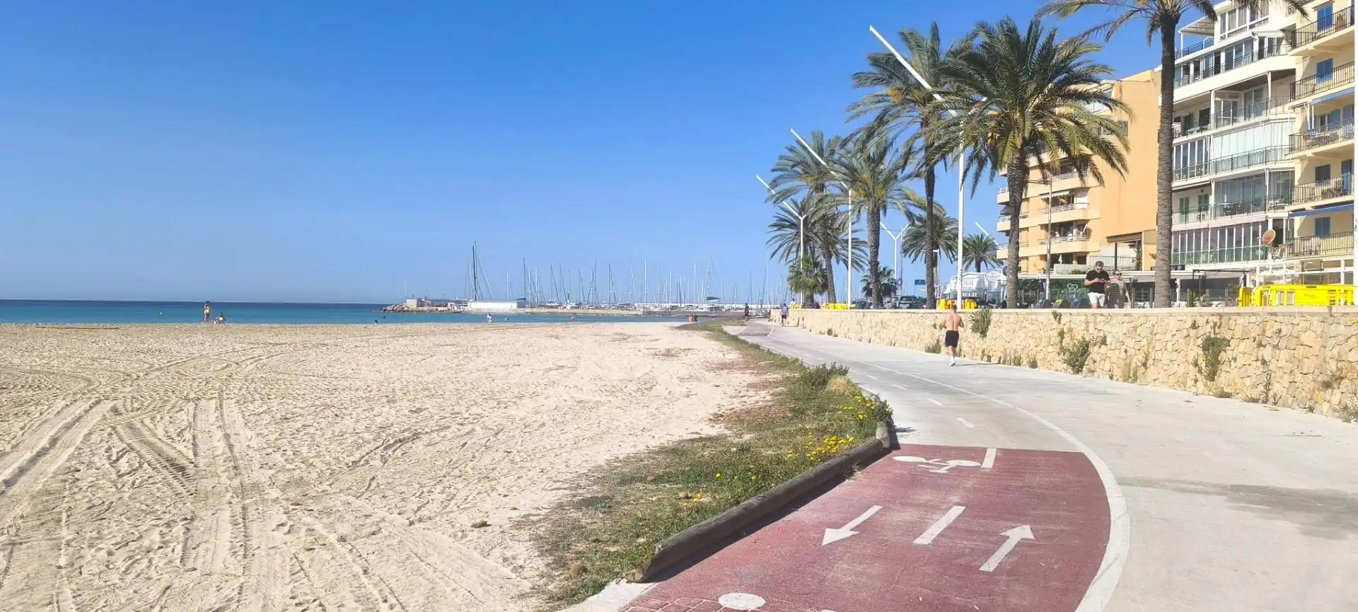 Vista exterior de Planta baixa en venda en  Palma de Mallorca amb Aire condicionat, Terrassa i Traster