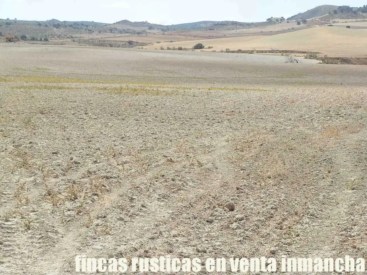 Terreni e lotti in vendita a Cabra del Santo Cristo, imagen 8