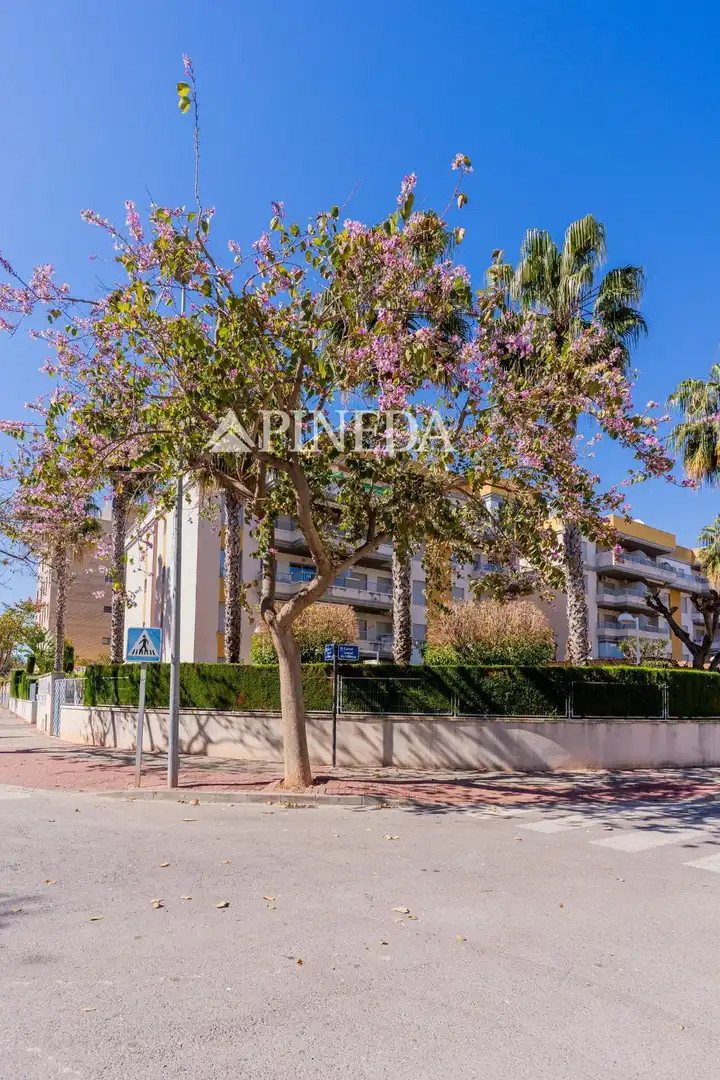Appartement compact avec piscine à vendre à Calle ARNAU DE VILANOVA, imagen 31