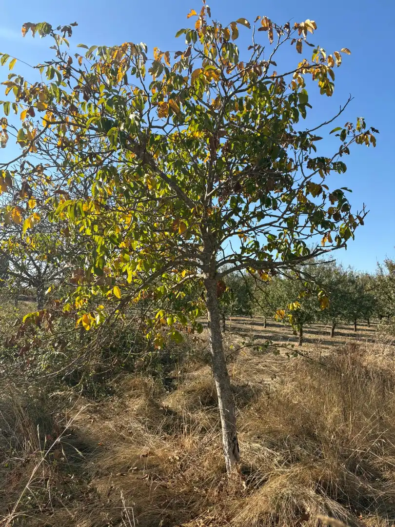 Terreni e lotti in vendita a Villamediana de Iregua